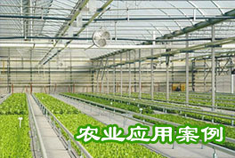 農(nóng)業(yè)應(yīng)用案例：水源熱泵機組助力恒溫大棚種植，更低運行成本